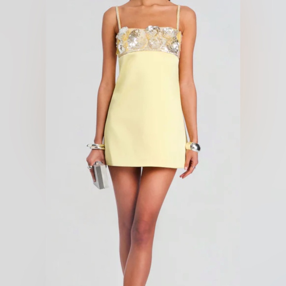 ISO retrofete lark embroidered dress